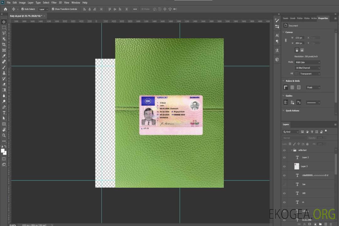 Danemark DL photolook AVANT template